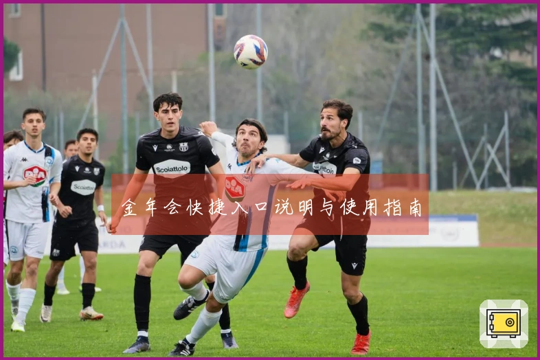 金年会快捷入口说明与使用指南